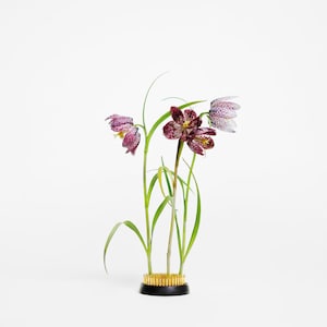 80mm Ikebana Kenzan Flower Frog: Heavy-Duty Floral Arrangement Tool