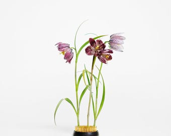 80mm Round Ikebana Kenzan – Heavy-Duty Flower Frog with Rubber Base for DIY Flower Arrangements, Centerpieces, and Wabi-Sabi Decor