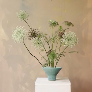 May include: A floral arrangement featuring Queen Anne's Lace flowers in a teal vase. The flowers have delicate white blooms and dark centers, with green stems. The vase sits on a white pedestal against a neutral background.