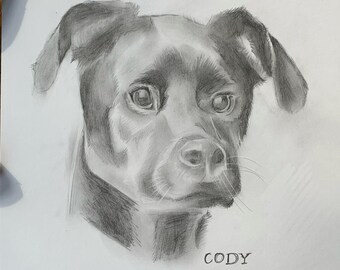 Custom Hand Drawn Pet Portrait