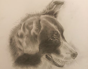 Custom Hand Drawn Pet Portrait