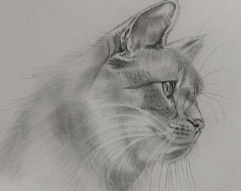 Custom Hand Drawn Pet Portrait