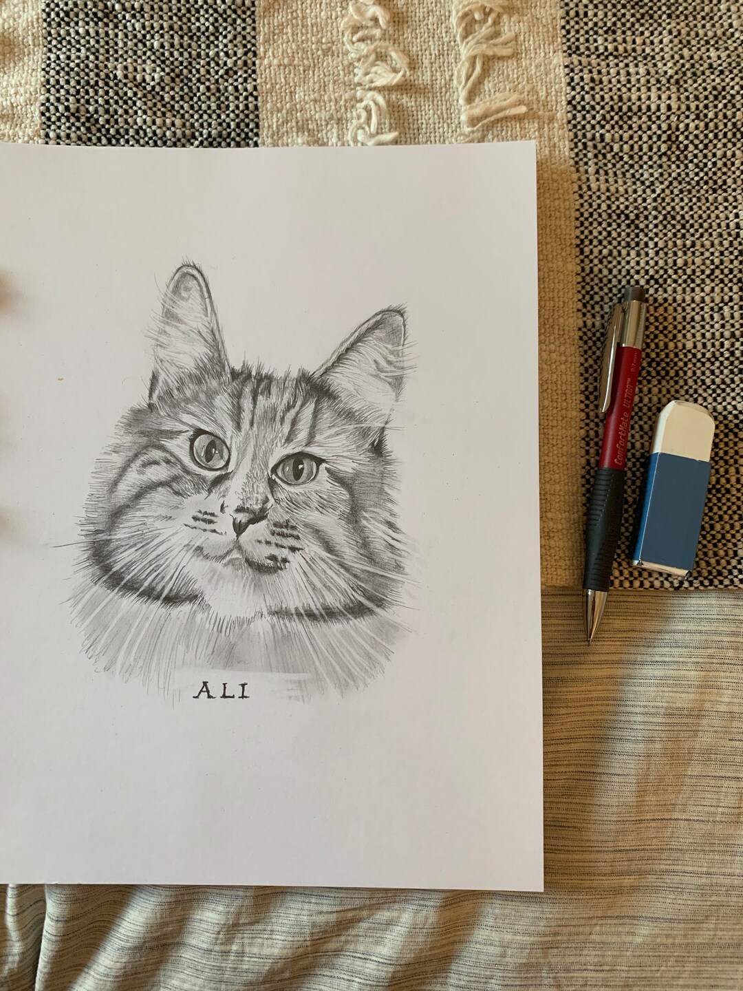 Custom Hand Drawn Pet Portrait - Etsy