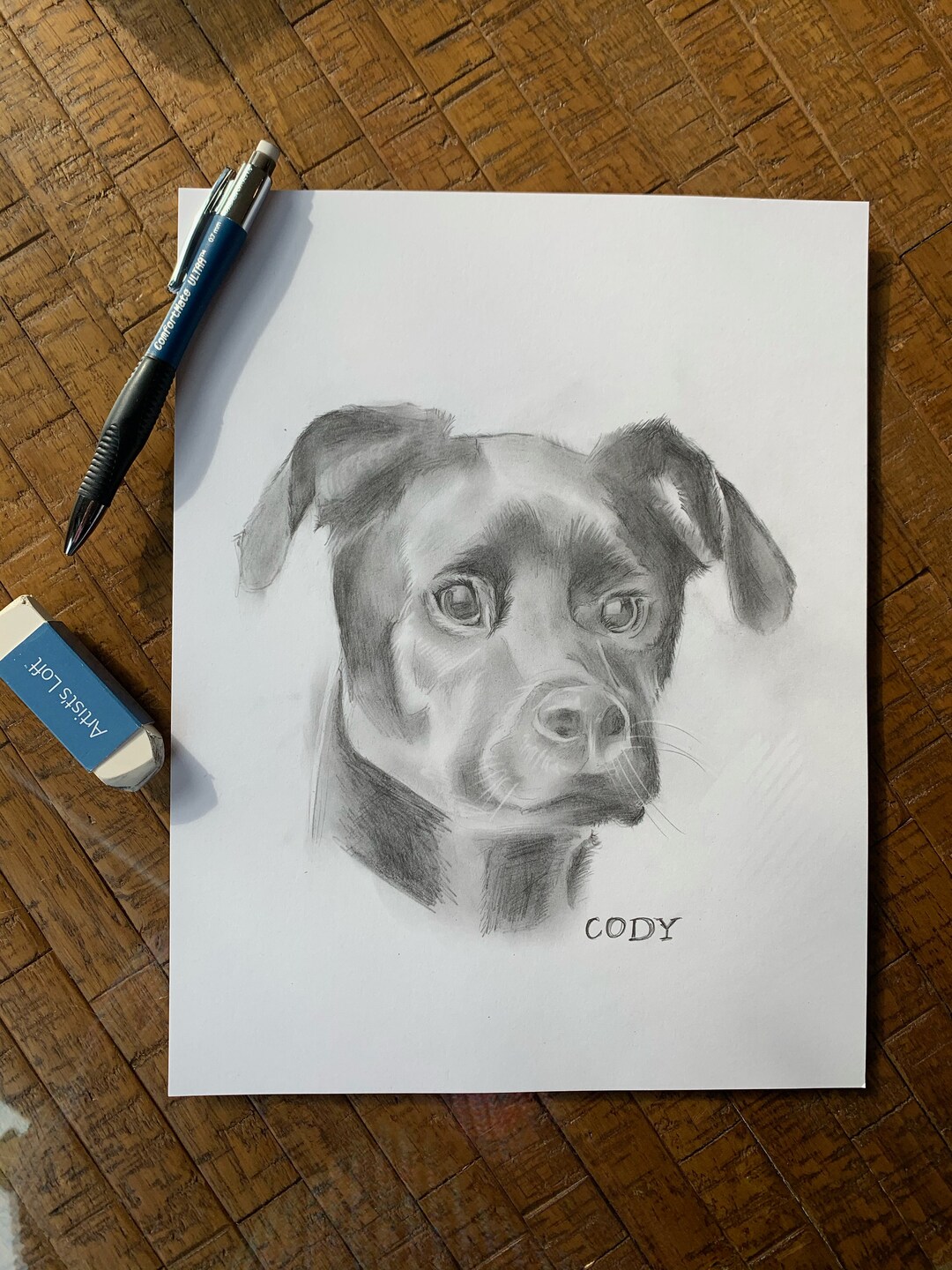 Custom Hand Drawn Pet Portrait - Etsy