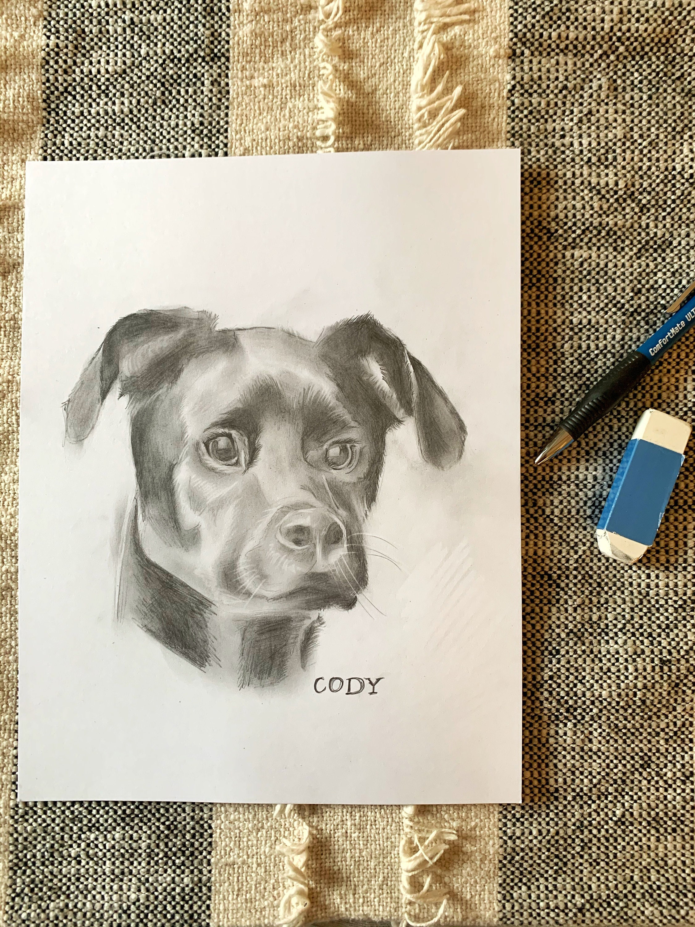 Custom Hand Drawn Pet Portrait Etsy