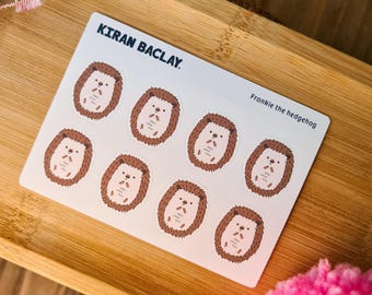 Cute Hedgehog Stickers | Cute Stickers | Hedgehog Mini Sticker Sheet | Cute Animal Sticker | Journal Sticker | Cute Stationery