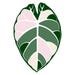 MonJungle store logo
