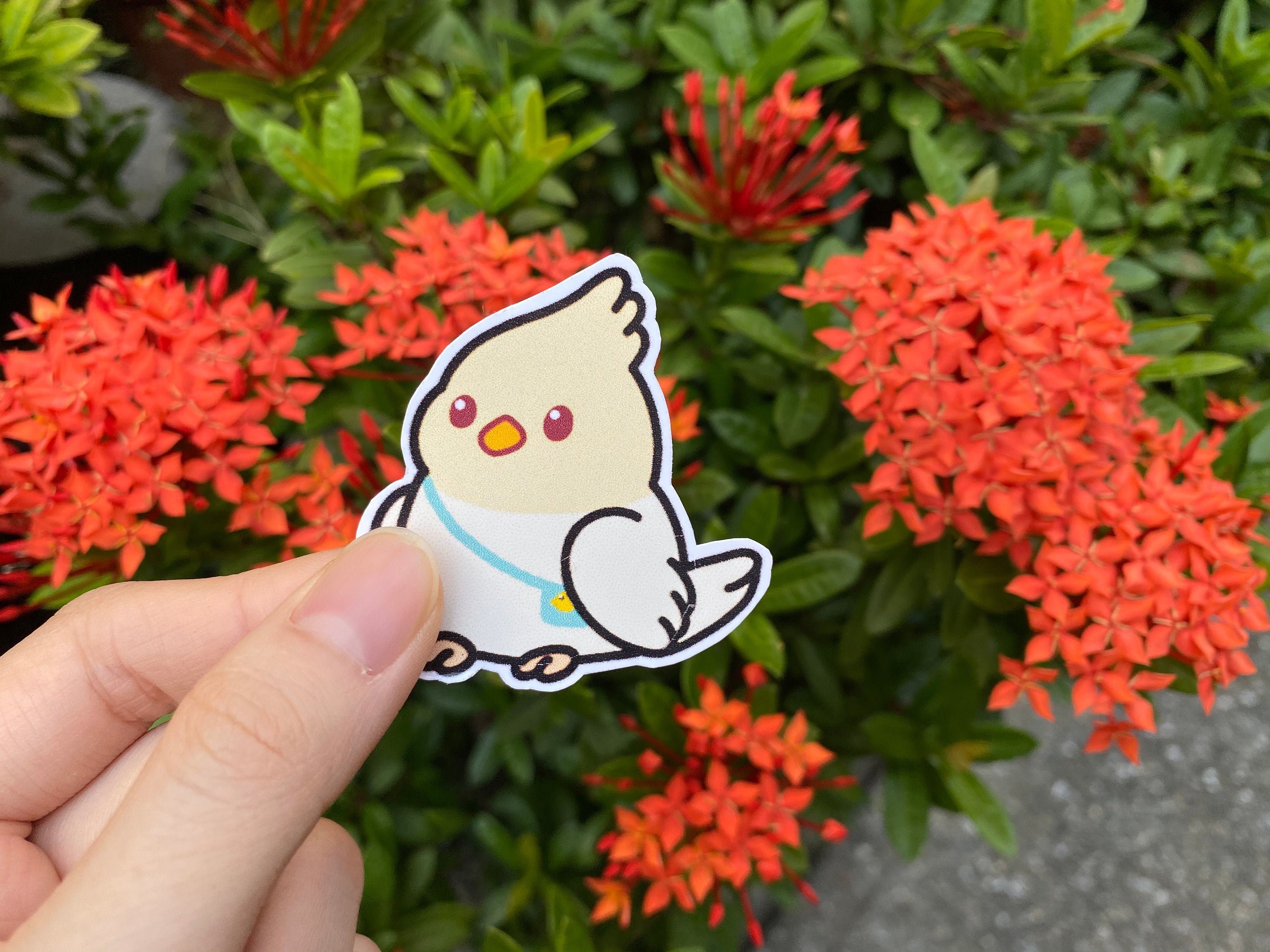 Little Bird Sticker, Bird Sticker - Etsy