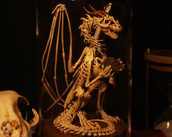 May include: A detailed skeletal dragon sculpture with wings, a long tail, and a skull with horns, displayed in a glass dome on a wooden base.