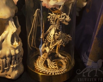 Dragonling skeleton with golden base, curiosity cabinet