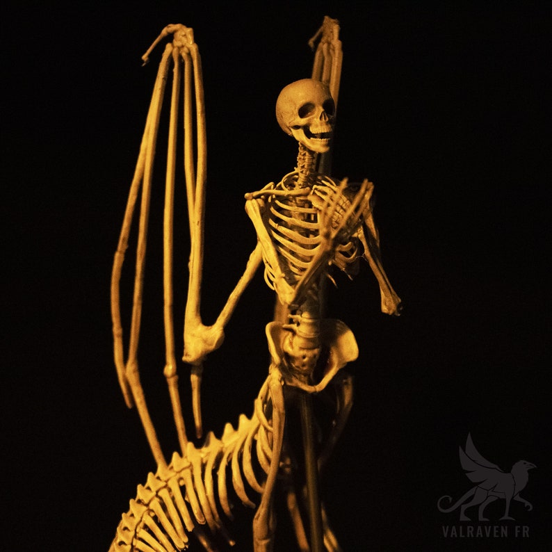 Melusina Skeleton, Curiosity Cabinet - Etsy