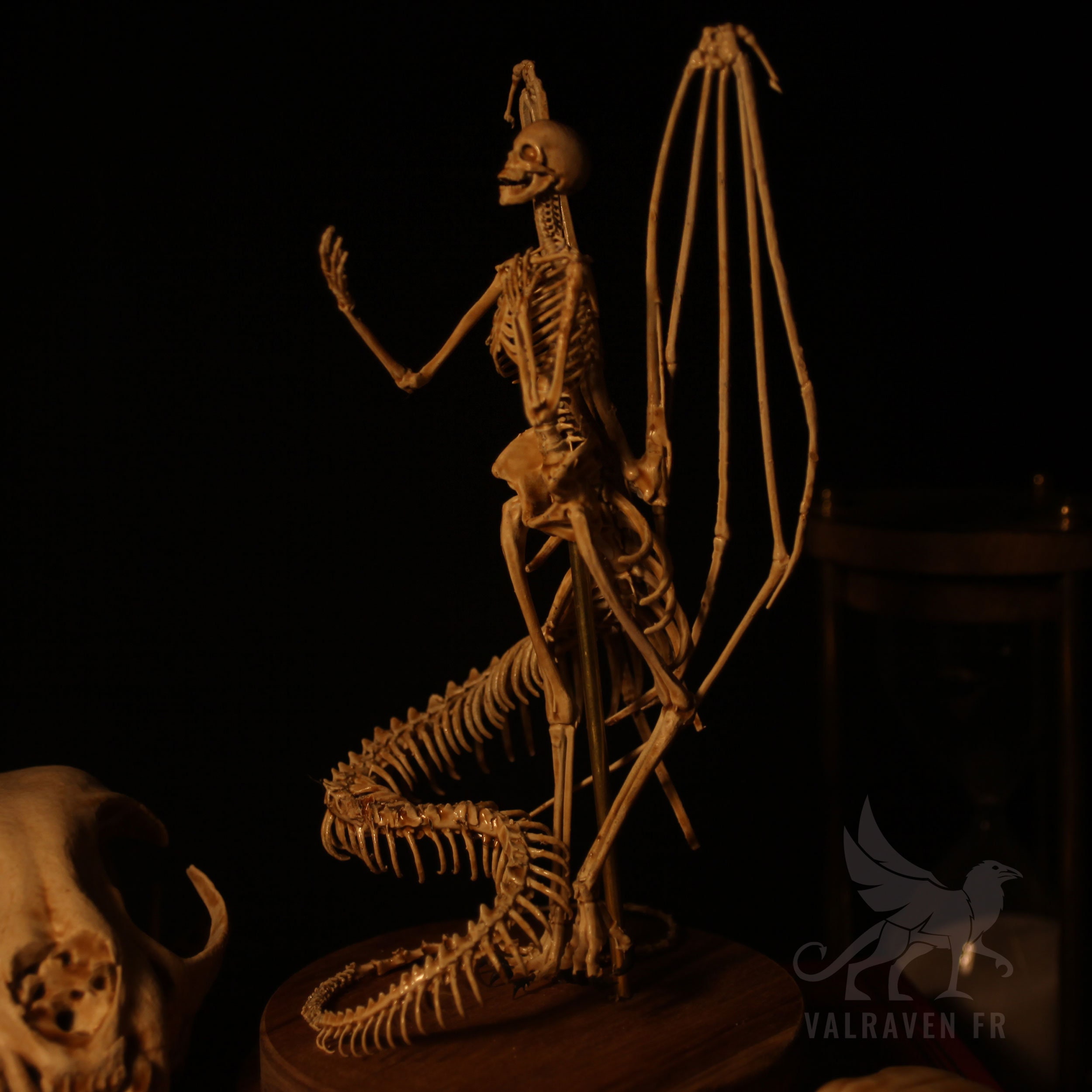 Melusina Skeleton, Curiosity Cabinet - Etsy