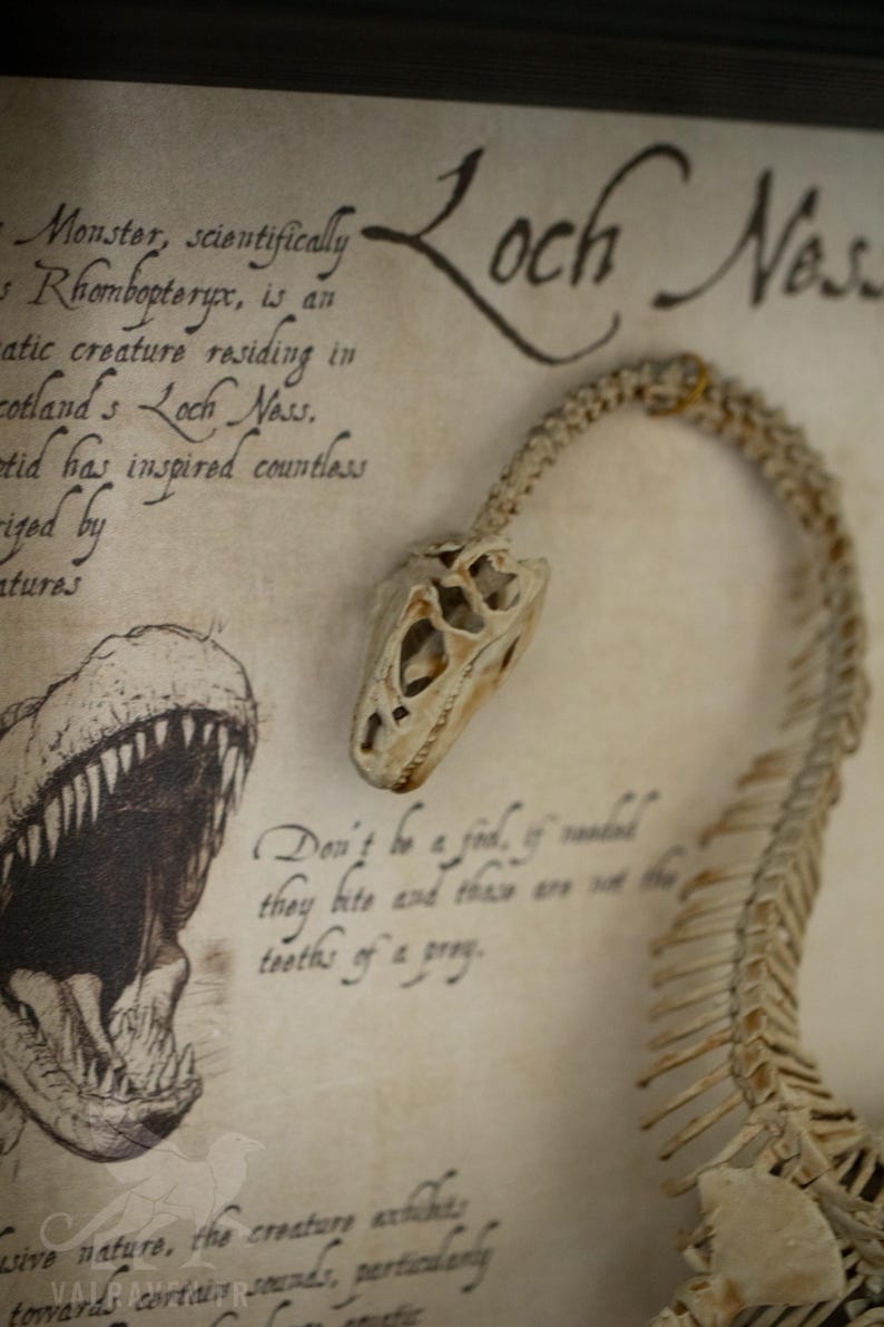 Op de afbeelding: Een close-up van een ingelijst illustraties van een Loch Ness Monster skelet met de tekst "Loch Ness" en "Don't be a jed, if vandal they bite and than are not the tooths of a proy."