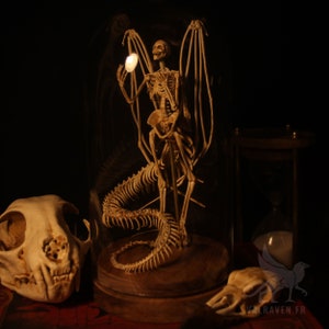 Melusina Skeleton, Curiosity Cabinet - Etsy