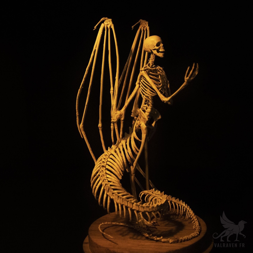 Melusina Skeleton, Curiosity Cabinet - Etsy