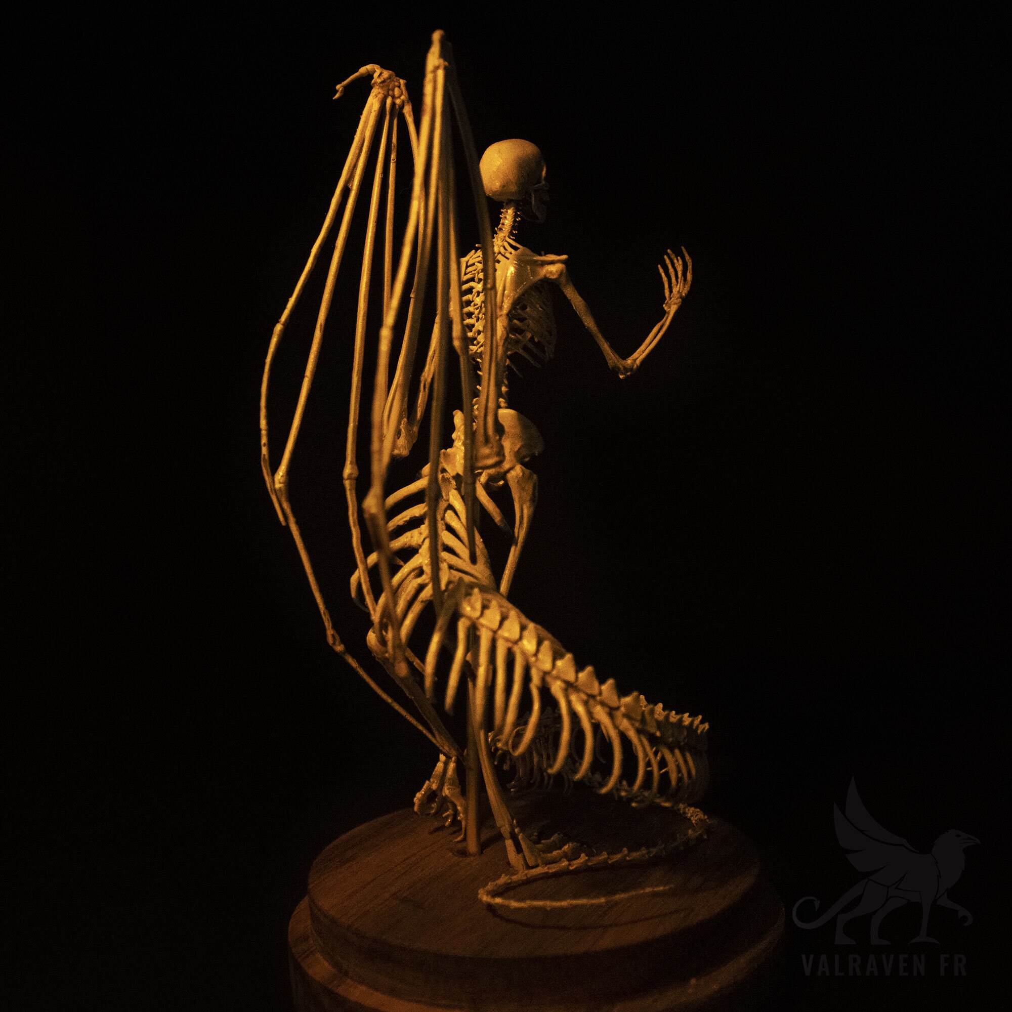 Melusina Skeleton, Curiosity Cabinet - Etsy