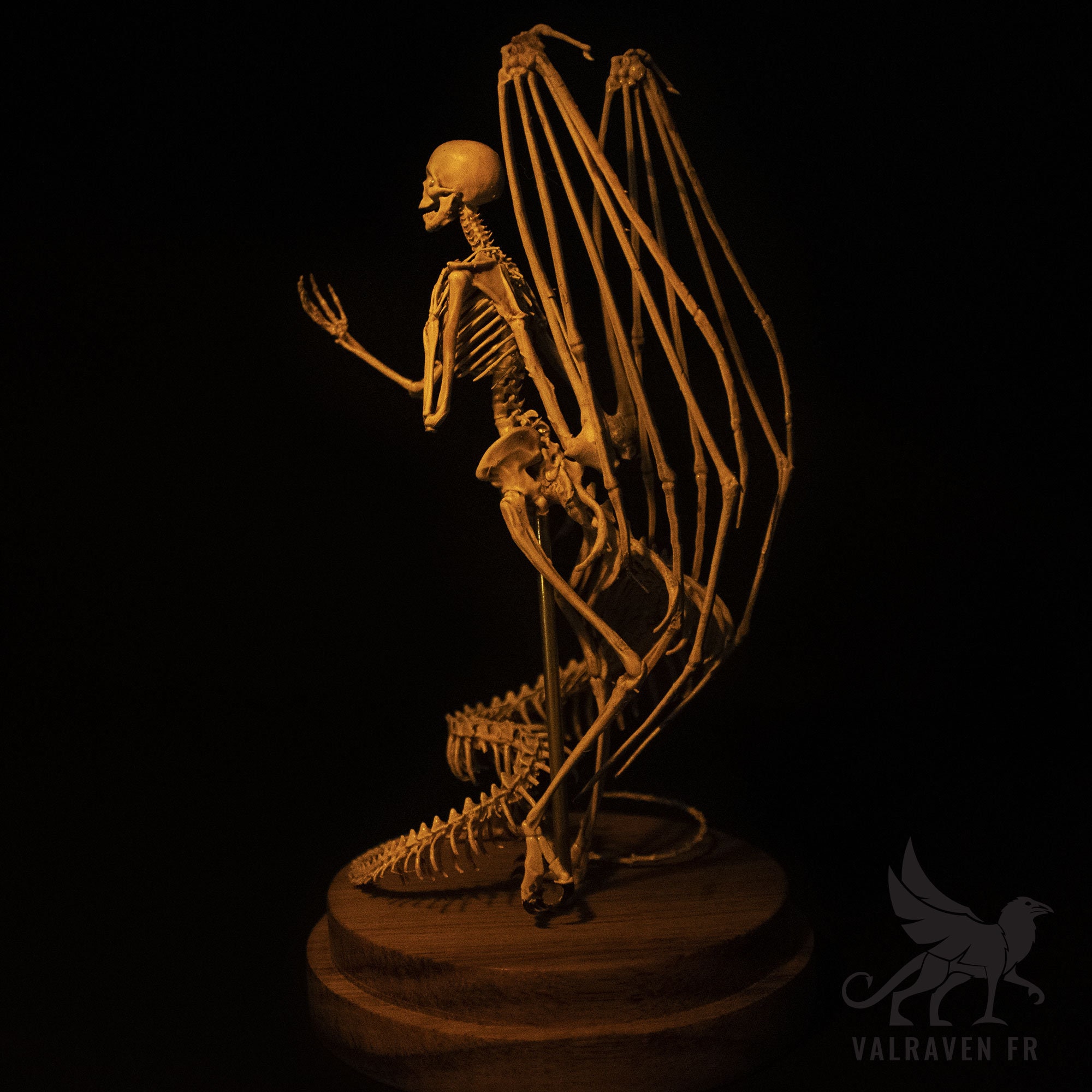 Melusina Skeleton, Curiosity Cabinet - Etsy