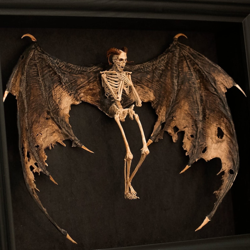 Puede incluir: Una figura esquel&eacute;tica con alas de cuero marr&oacute;n oscuro. Las alas est&aacute;n desgarradas y tienen un aspecto desgastado. El esqueleto est&aacute; en posici&oacute;n sentada con las piernas dobladas por las rodillas. La figura est&aacute; enmarcada sobre un fondo negro.