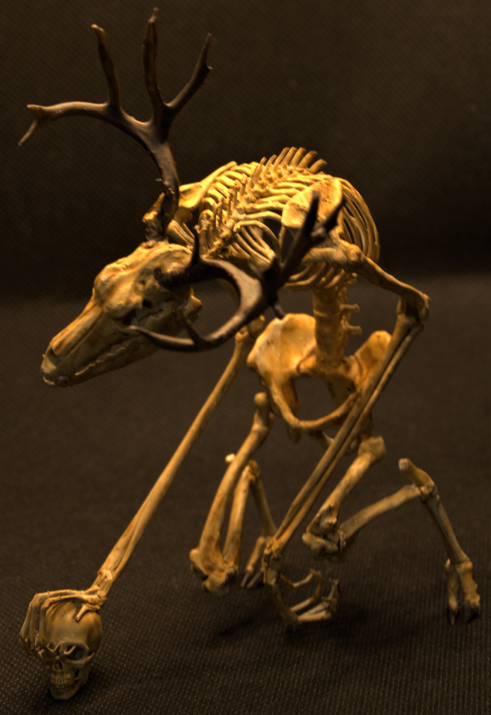 Wendigo skeleton curiosity cabinet - Etsy France