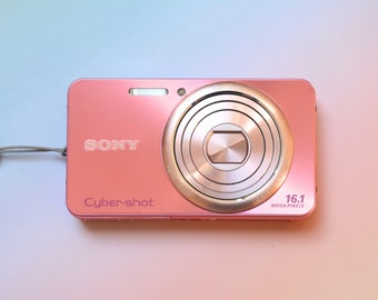 Sony Cyber-Shot DSC-W570 Digital Compact Camera Pink/Silver + Charger + Pink Case, Digicam 16.1 MP 5x Optical Zoom Point & Shoot Pink