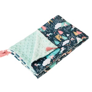 Minky blanket/Baby minky blanket/Toddler minky blanket