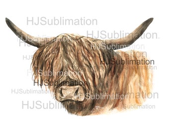 Highland Cow PNG.Sublimation designs.Digital download.