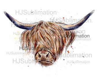 Highland Cow PNG.Sublimation designs.Digital download.