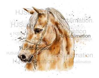 Sublimación de caballos PNG.Descarga digital