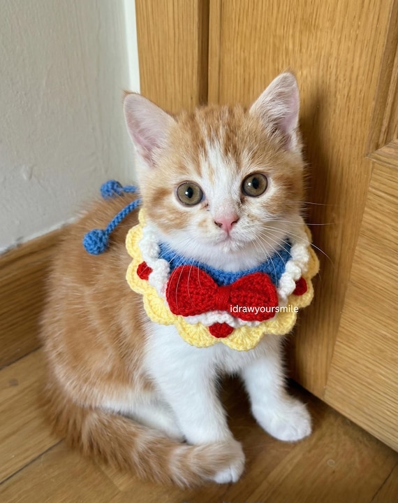 Niedliches Prinzessin Katzen Halsband Hkelanleitung | Welpen & Ktzchen  Kostm | Verstellbares Haustierzubehr | PDF fr Anfnger auf Englisch -  Etsy sterreich