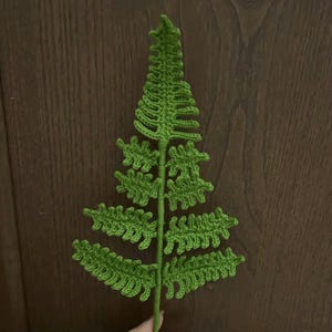 May include: A green crocheted fern with a long stem. The fern has multiple leaves with a delicate, lacy design.