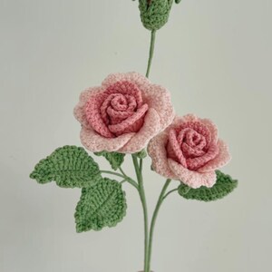 Bouquet de fleurs au crochet, motif P - Cadeau pour maman au crochet 11 en 1 Débutant intermédiaire - Instructions faciles, étape par étape, PDF imprimable image 7