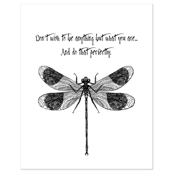 Dragonflywith Quotes