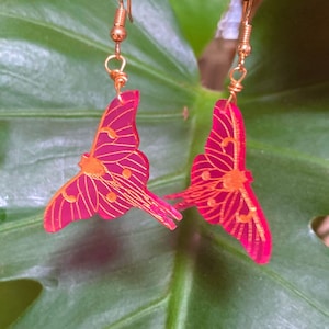 Rose Luna Moth Earrings, Gold Shimmer