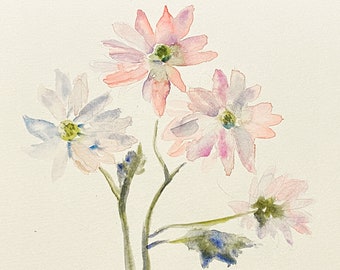 Daisy Watercolor Print 5 X 5