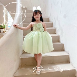 ROBE BÉBÉ LAVANDE Robe duveteuse fleurie avec nœud pour fille Robes pour bébé fille Tenue d'anniversaire fille Cadeau nouveau-né Robe d'anniversaire Sage