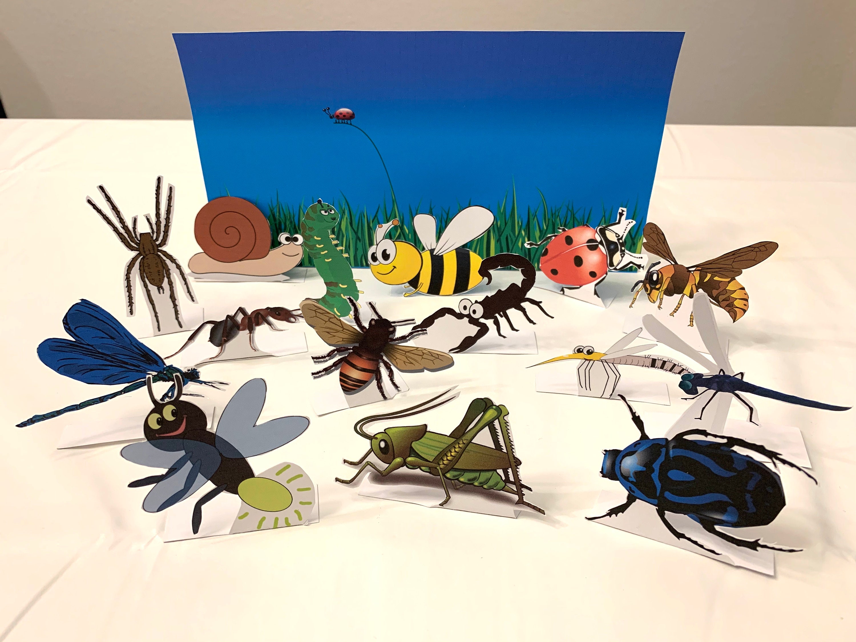 About insects for class 3 picture