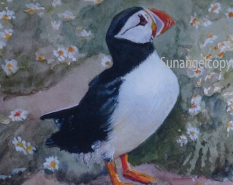 Puffins art.Puffin at Skomer Island.  Mounted print. Seabird ,wildlife, high quality print from original watercolour.