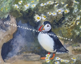 Puffins. Sea life. Print taken from original watercolour.  Seabirds. Puffins at Skomer Island. Wildlife art