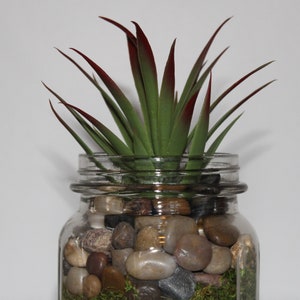 Dark Green Faux Aloe Succulent Terrarium Centerpiece for you Home Decor