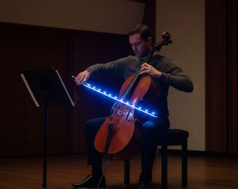 Archetto per violoncello: luce LED bianca - Legno di Brasile con tallone in ebano