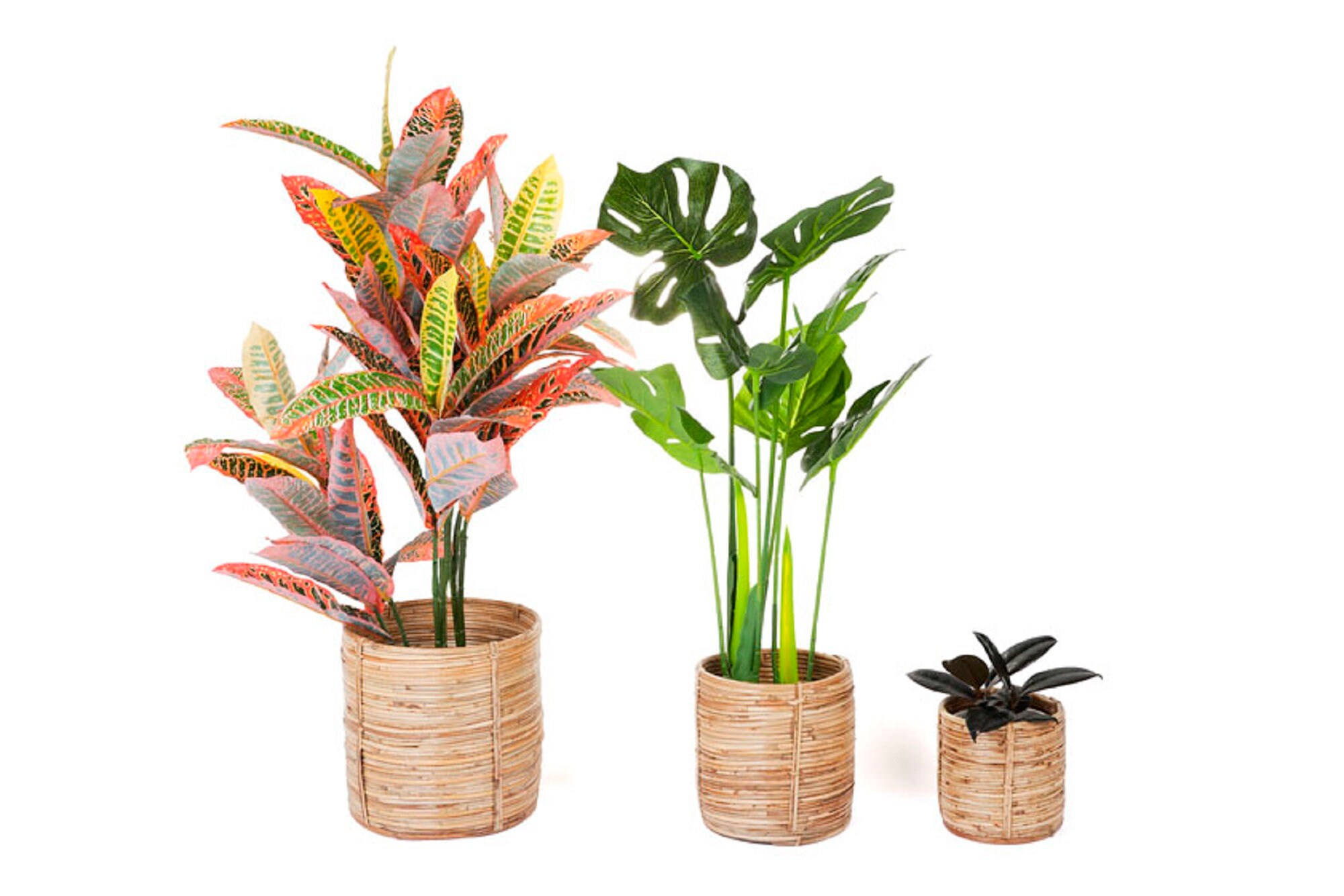 Set of 3 Planters Natural Handmade Decorative Cane Baskets Etsy Australia