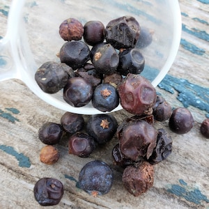 Dried Juniper Berries: Ritual Herbs for Spells (1 oz) Spells of Healing, Love, Protection