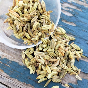 Whole Fennel Seed: Protection Spells, Strength & Vitality - 1 oz