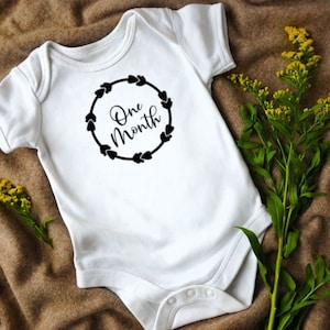Baby Theme - Baby Month Decal Bundle