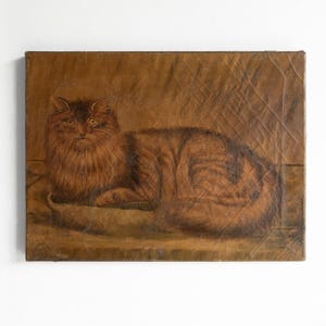 Antique Naive Folk Art Cat Portrait, Original Oil On Canvas Painting, 19th Century