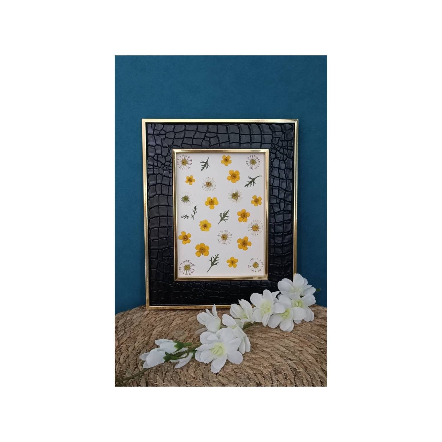 Herbier de Fleurs Séchées et Pressées Renoncules, Pâquerettes