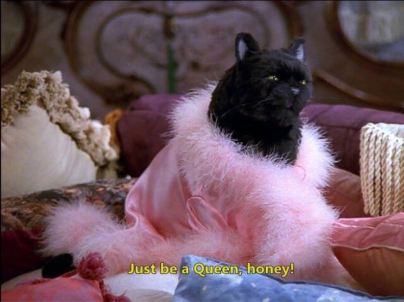 May include: A black cat wearing a pink fluffy robe with the text "Just be a Queen, honey!"