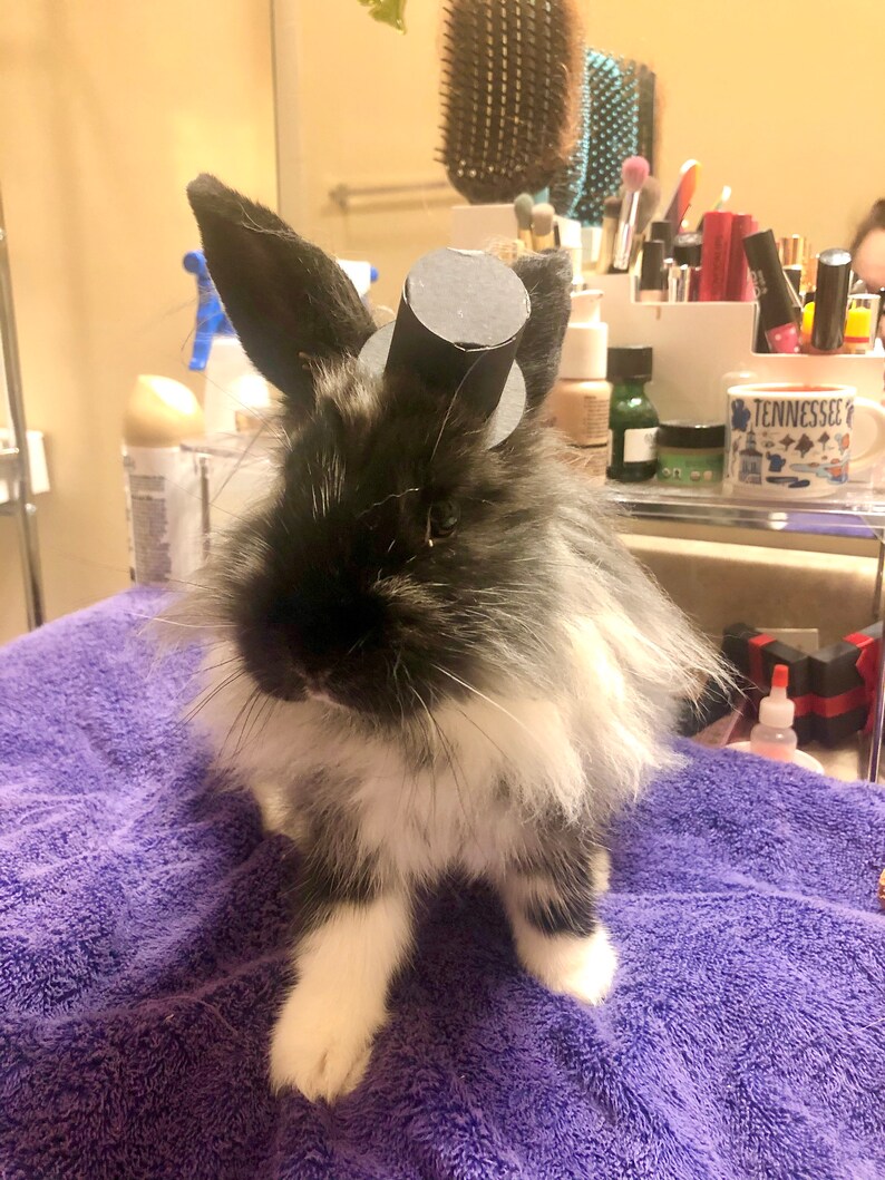 Download Papercraft 3d Top Hat Svg Hat Svg Top Hat Svg Eps Svg Pdf Png Jpeg Digital File U00a03d Top Hat Doll Svg Pet Hat Svg U00a0digital Download U00a0 Paper Party Kids