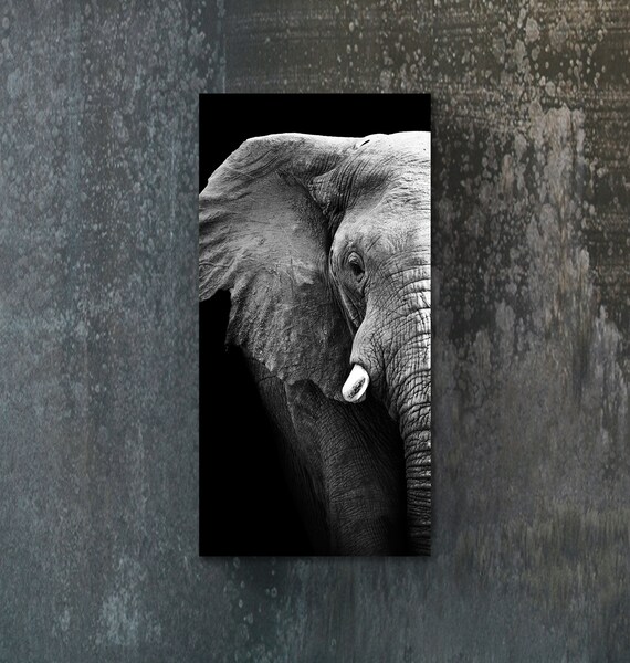 Elephant Large Tempered Glass Prints Wild Stained Glass Etsy