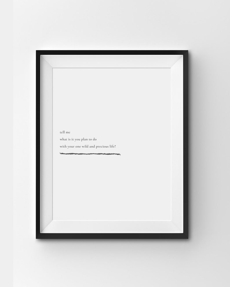 Tell me what is it you plan to do with your one wild and precious life